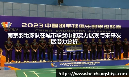 南京羽毛球队在城市联赛中的实力展现与未来发展潜力分析
