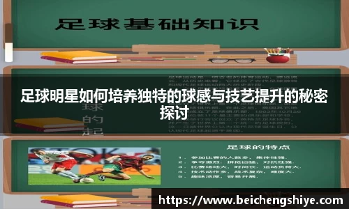 足球明星如何培养独特的球感与技艺提升的秘密探讨